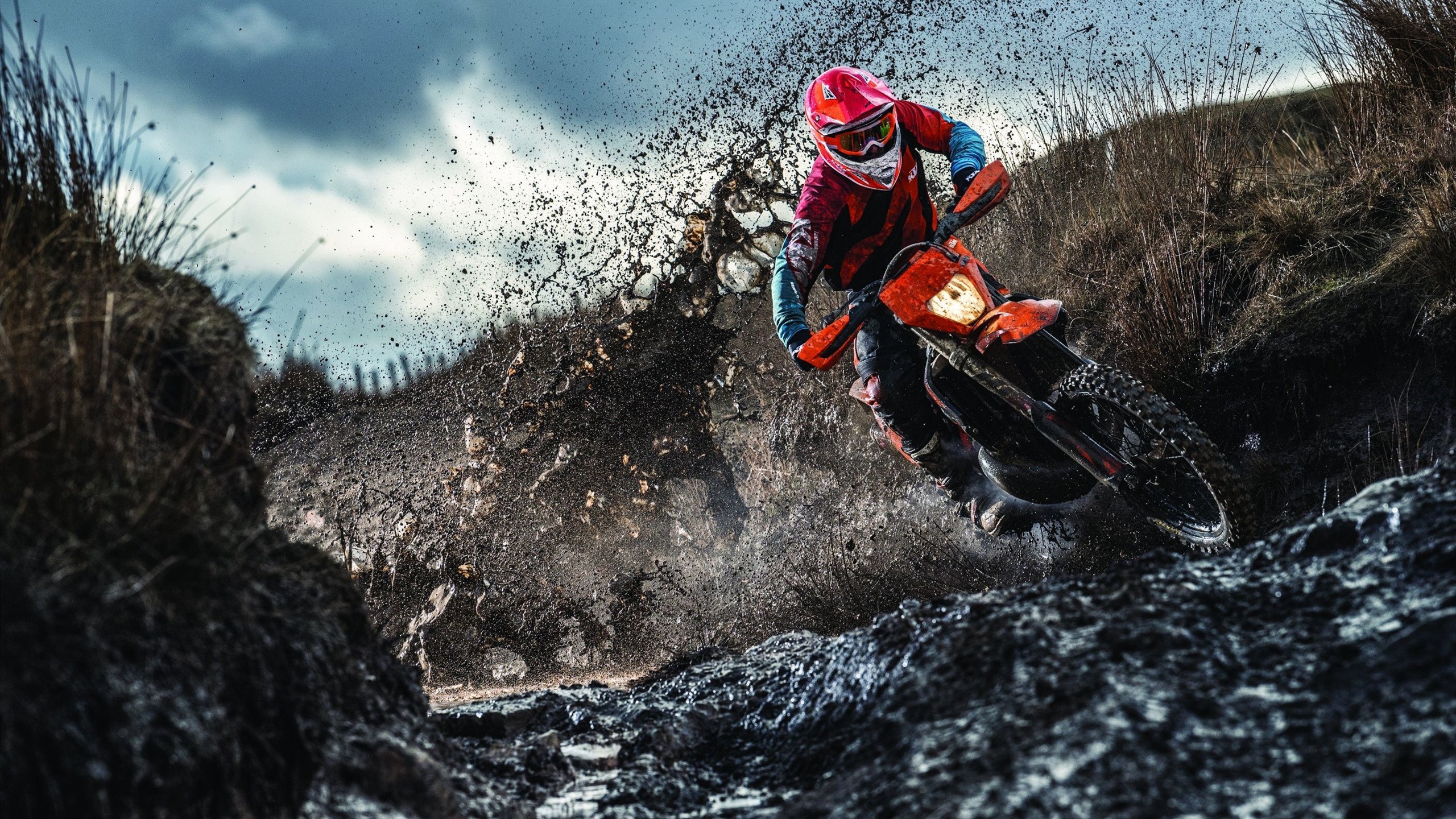 哈兰德迎来七赛季高光表现，拜仁球迷沸腾！